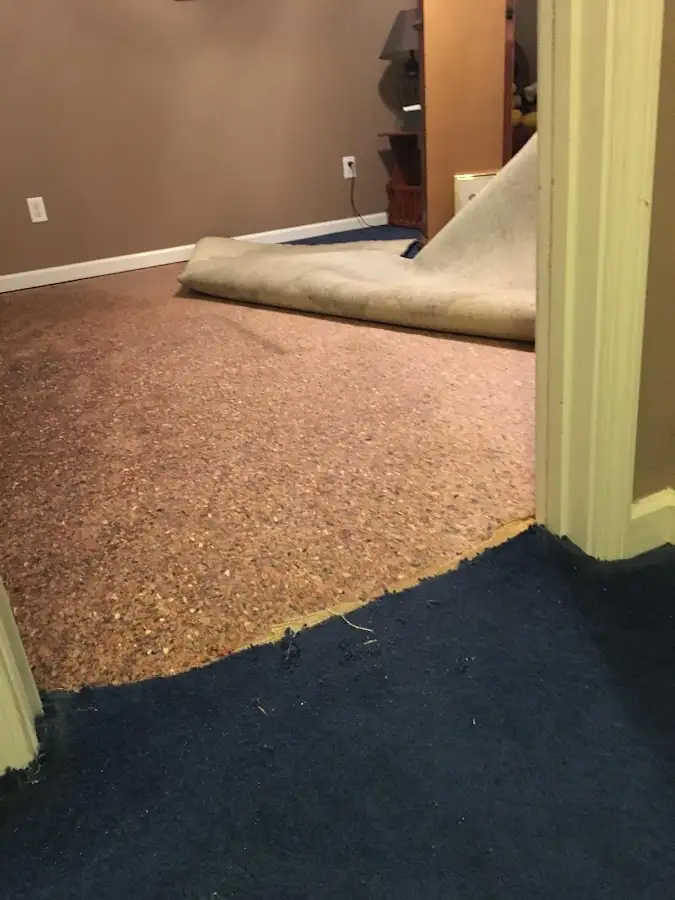 Carpet pad removal revealing water damage during Drying & Dehumidification in Roswell