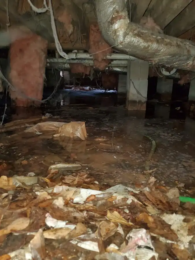 Crawl space flood assessment for Leak Detection & Repair in Roswell